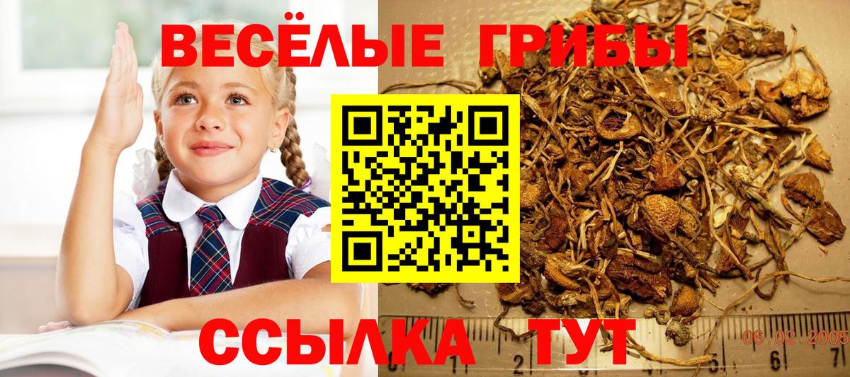 Галлюциногенные грибы Magic Shrooms Светлоград